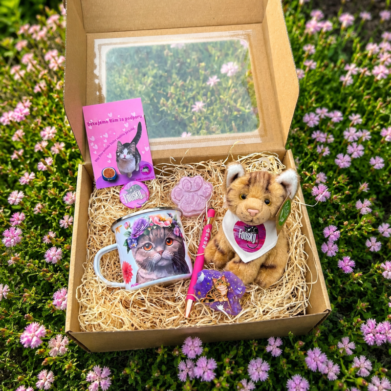 Dárkový box pro holčičky 🌸  s hnědou kočičkou 🐾
