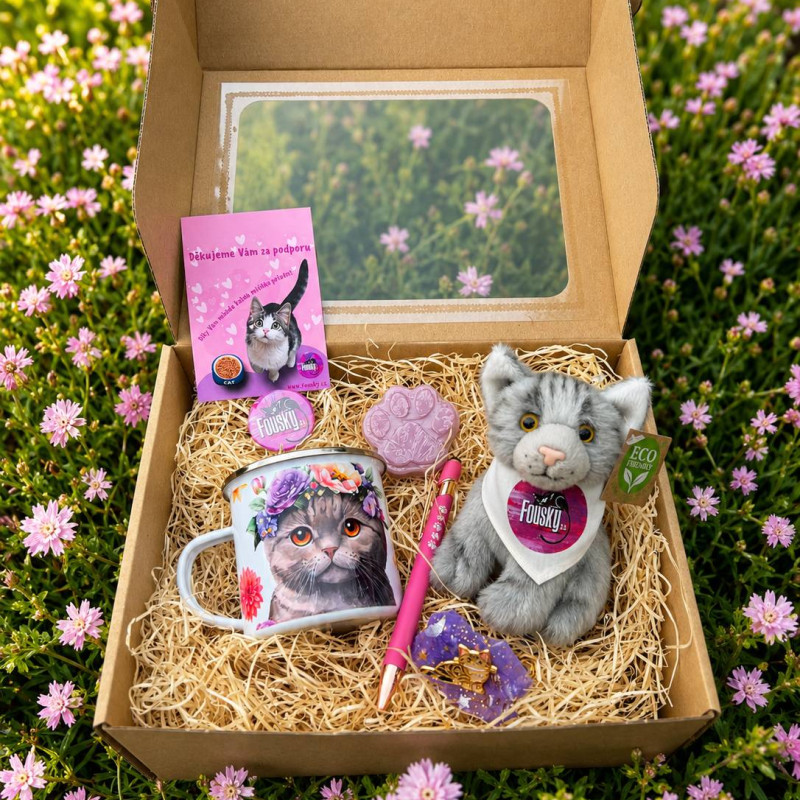 Dárkový box pro holčičky 🌸 se stříbrnou kočičkou 🐾