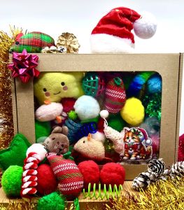 Vánoční mystery box pro kočičky