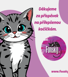 Příspěvek na přilepšenou kočičkám