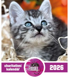 Nástěnný kalendář na rok 2026