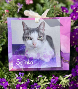 Náramek kočičky Sofinky