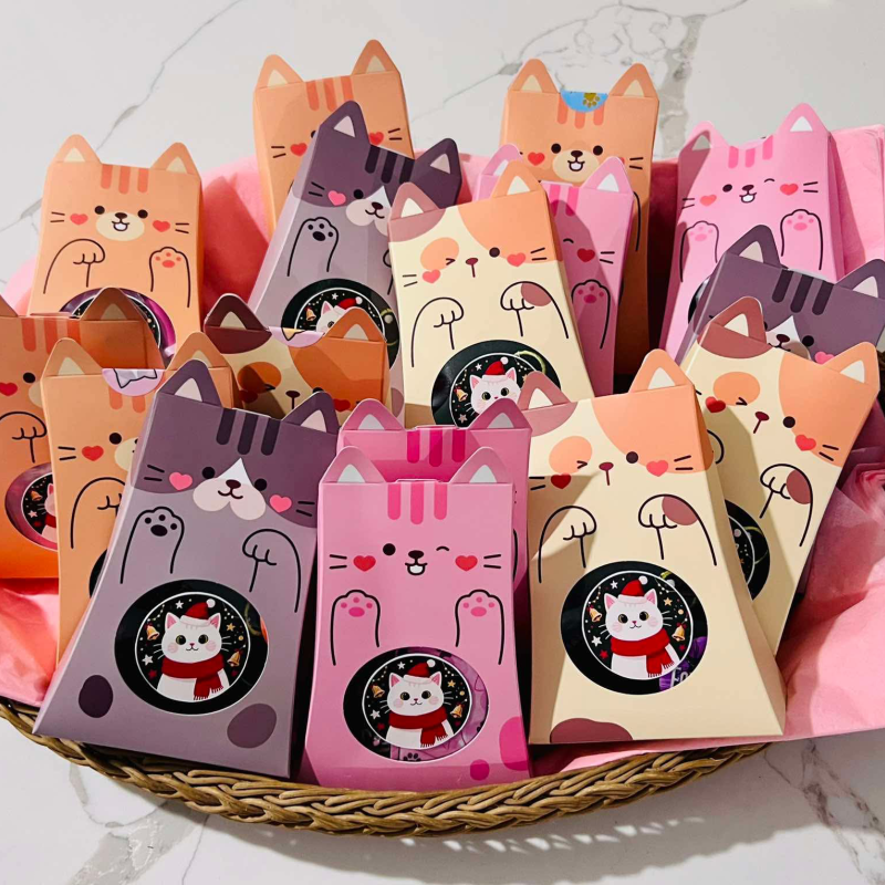 Mystery box pro holčičky - kočička