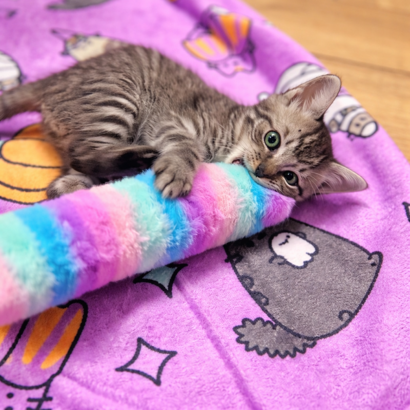 Duhový váleček ovoněný šantou kočičí