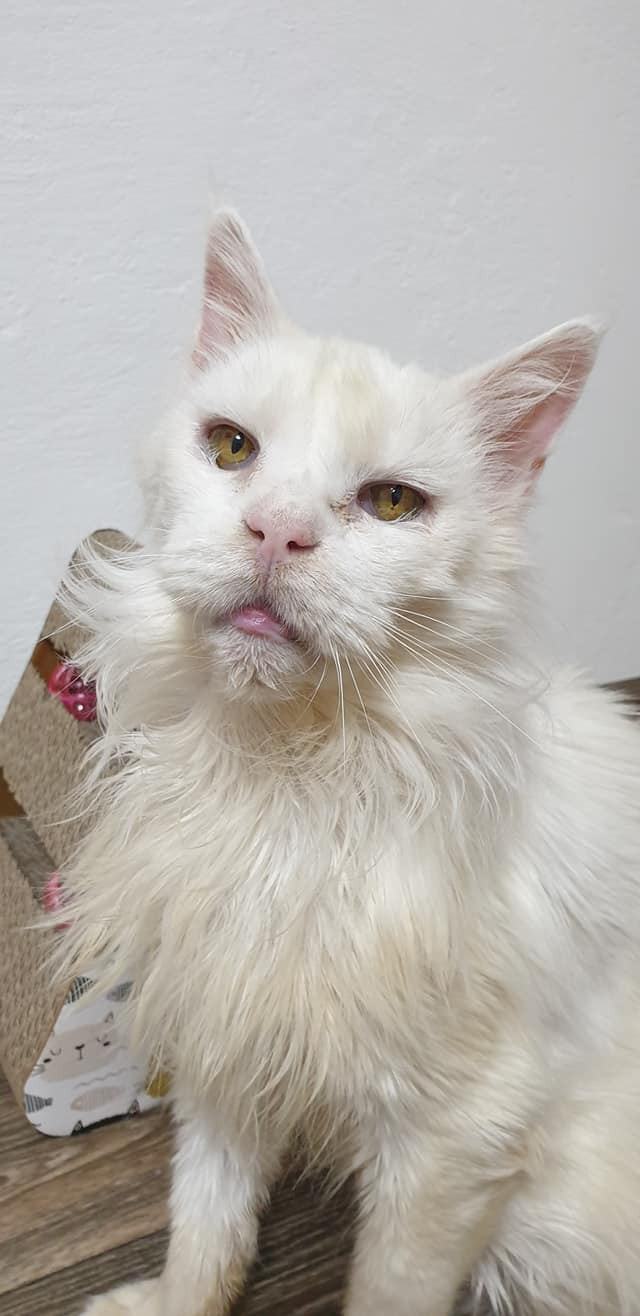 Hrneček s Morískem - společné chvíle 6