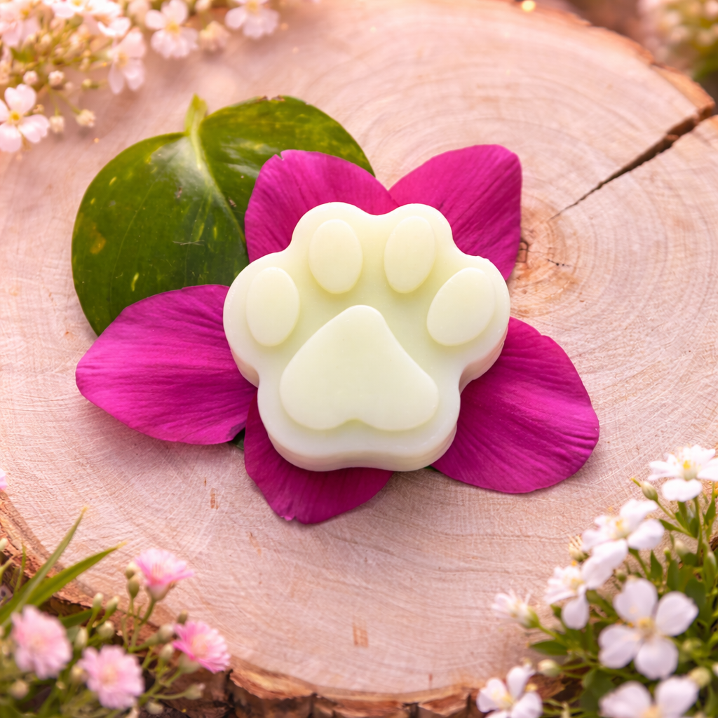 Tlapička s vůní eukalyptu