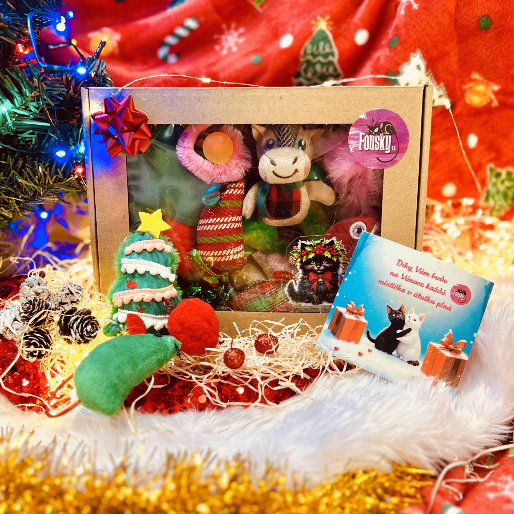 Vánoční mystery box pro kočičky