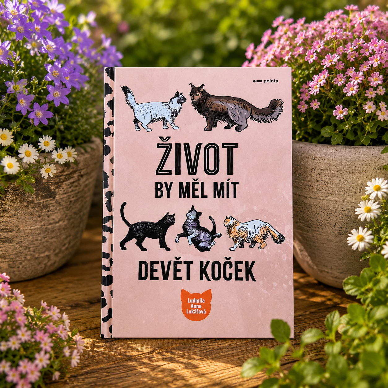Život by měl mít devět koček