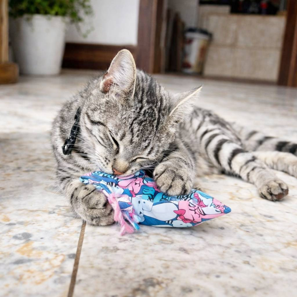 Kozlíkový sáček - limitovaná edice s kočičím motivem 2