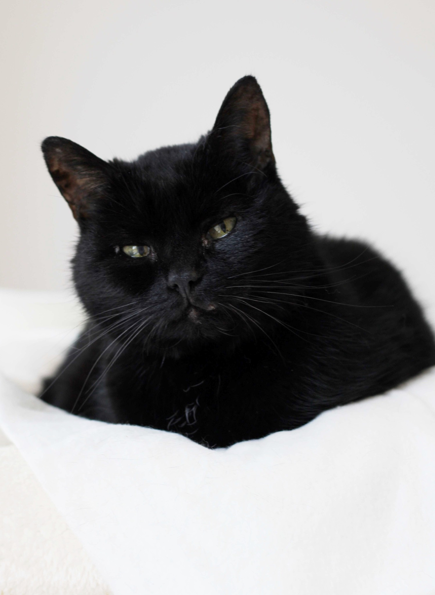 Hrneček s Bohouškem 5